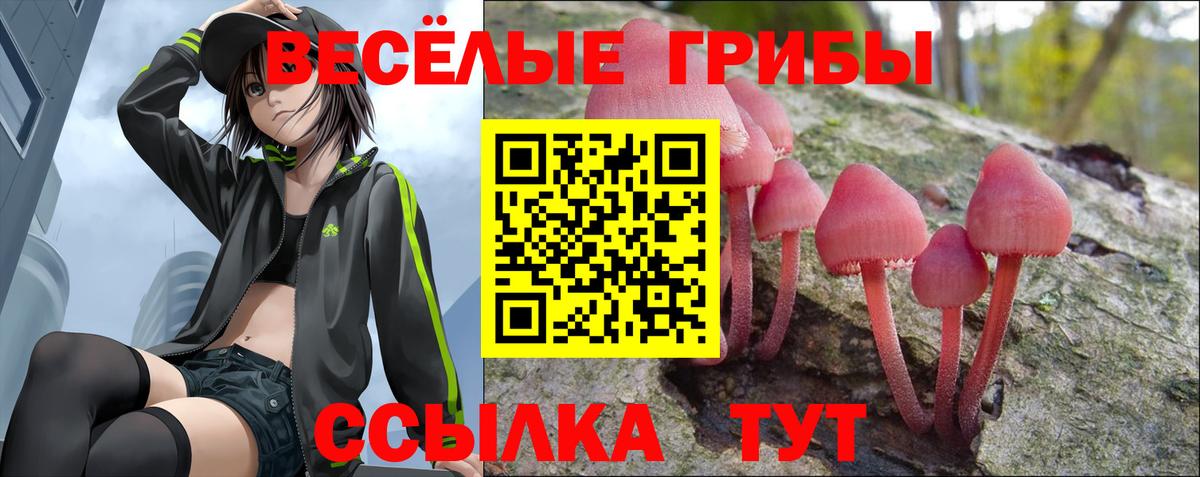 Галлюциногенные грибы MAGIC MUSHROOMS Сургут